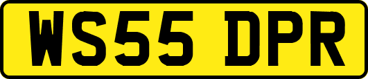 WS55DPR