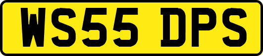 WS55DPS