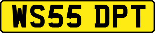WS55DPT