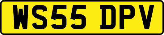 WS55DPV
