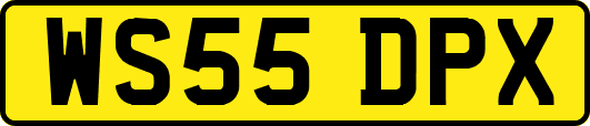 WS55DPX