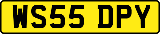 WS55DPY