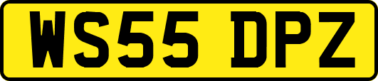 WS55DPZ