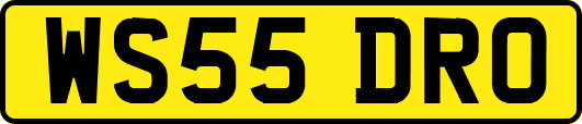 WS55DRO
