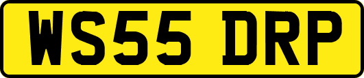 WS55DRP