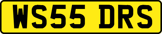 WS55DRS