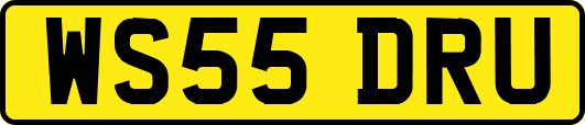 WS55DRU