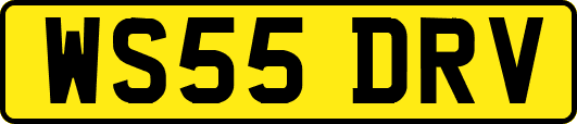 WS55DRV