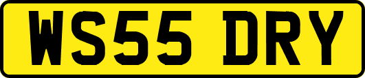 WS55DRY