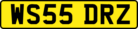 WS55DRZ