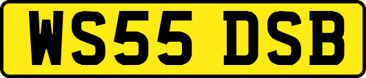 WS55DSB