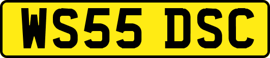 WS55DSC