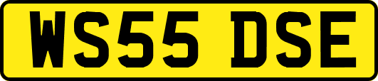 WS55DSE