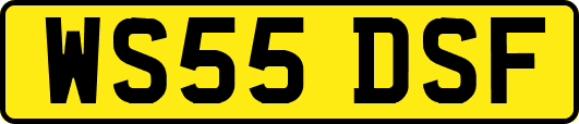 WS55DSF