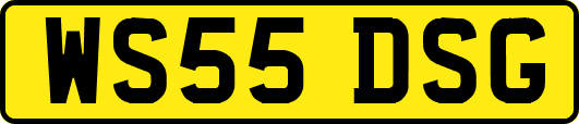 WS55DSG