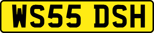 WS55DSH