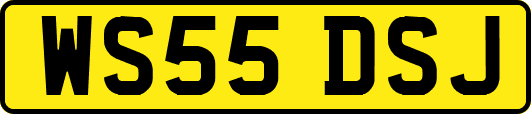 WS55DSJ