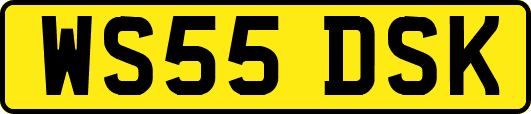 WS55DSK
