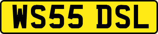 WS55DSL