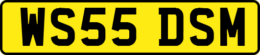 WS55DSM