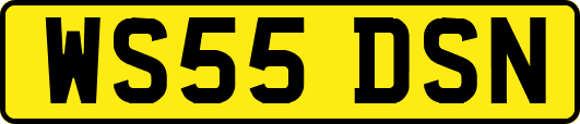 WS55DSN
