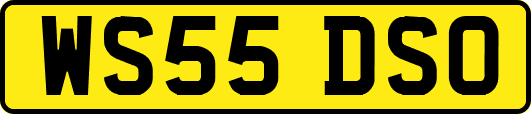 WS55DSO