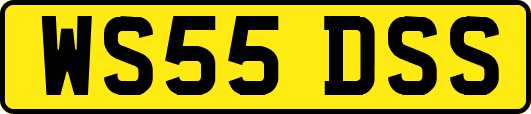 WS55DSS
