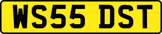 WS55DST