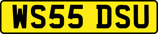 WS55DSU