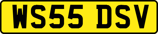 WS55DSV