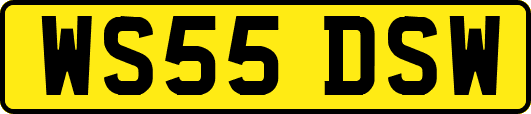 WS55DSW