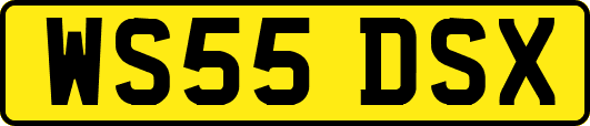 WS55DSX