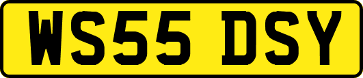 WS55DSY