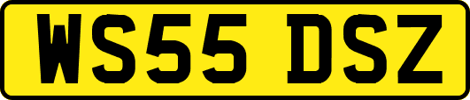 WS55DSZ