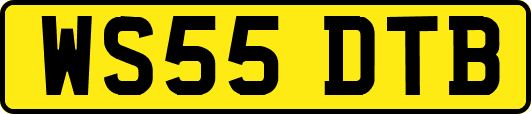 WS55DTB