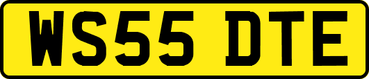 WS55DTE