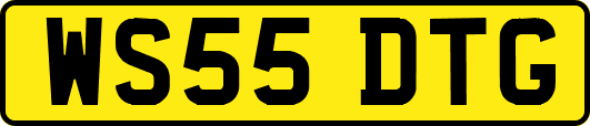WS55DTG