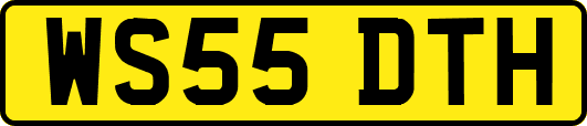WS55DTH