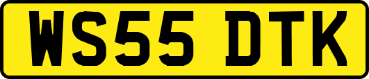 WS55DTK