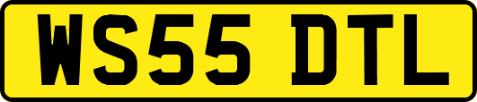 WS55DTL