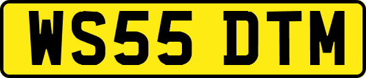 WS55DTM