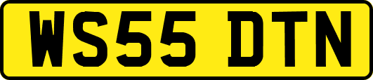 WS55DTN