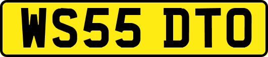 WS55DTO