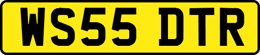 WS55DTR