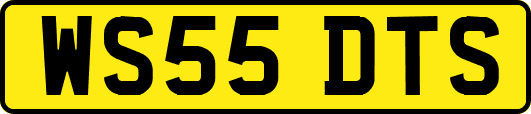 WS55DTS