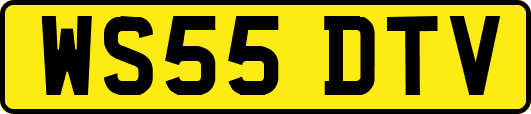 WS55DTV