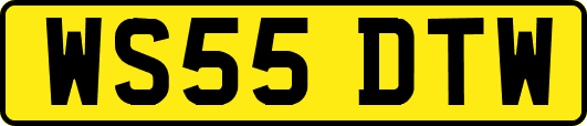 WS55DTW