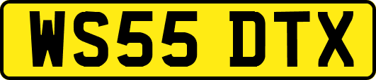 WS55DTX