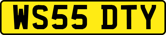WS55DTY