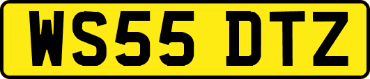 WS55DTZ